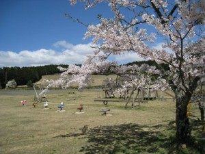 仙義ケ原ふれあいの里の桜
