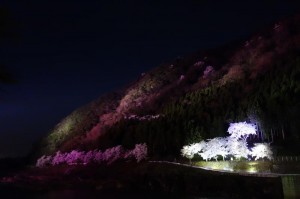 庄川水記念公園　夜間ライトアップ